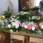 IMG_6025.jpg