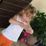 IMG_5923.jpg
