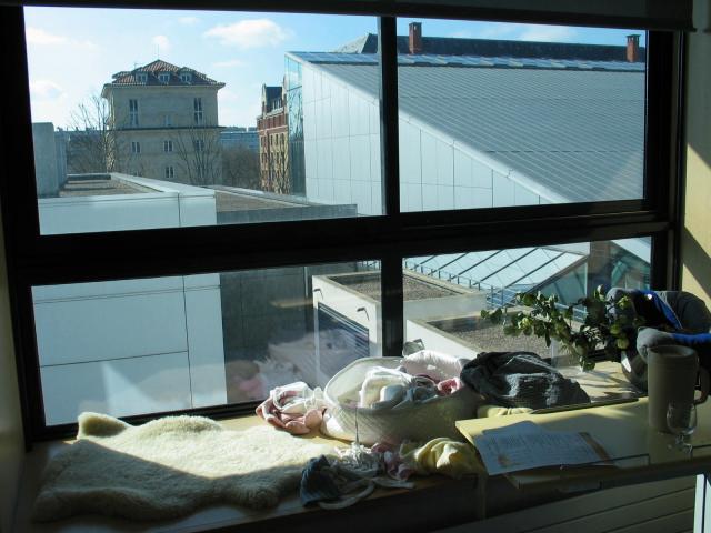 IMG_7336.jpg