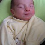 IMG_7367.jpg
