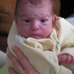 IMG_7397.jpg