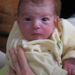 IMG_7399.jpg