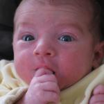IMG_7411.jpg
