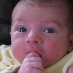 IMG_7413.jpg