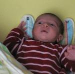 IMG_7465.jpg