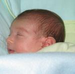 IMG_7513.jpg