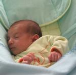 IMG_7535.jpg