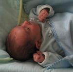 IMG_7573.jpg