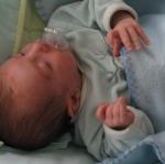 IMG_7584.jpg