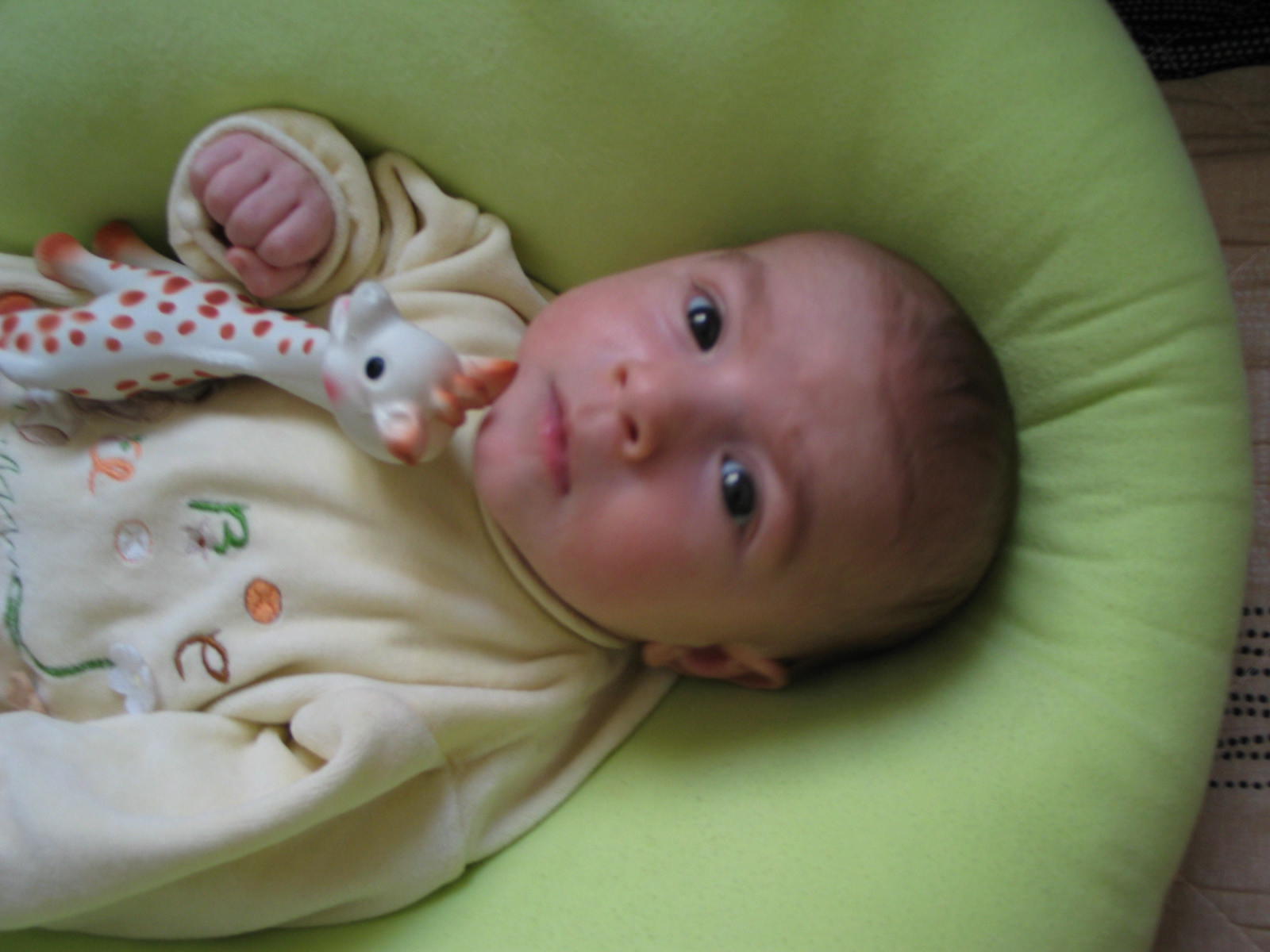 IMG_7652.jpg