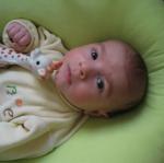 IMG_7652.jpg