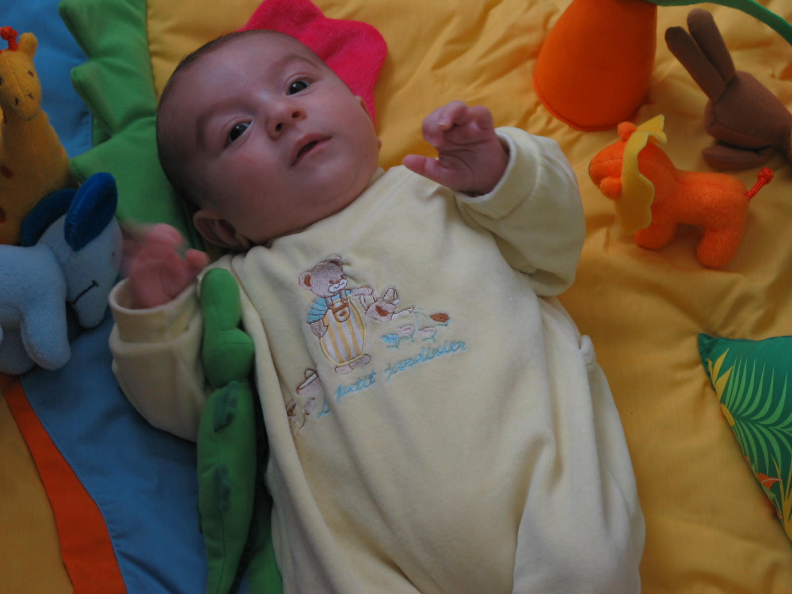IMG_7726.jpg