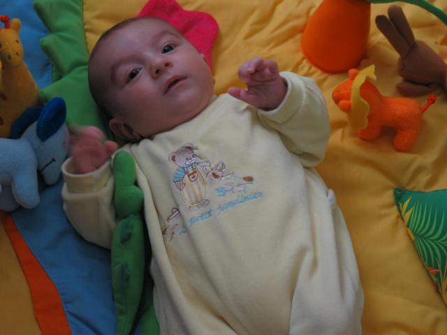 IMG_7726.jpg