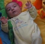 IMG_7729.jpg