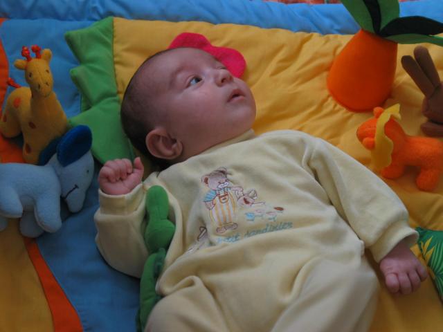 IMG_7733.jpg