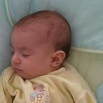 IMG_7746.jpg