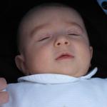 IMG_7774.jpg