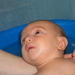 IMG_7795.jpg