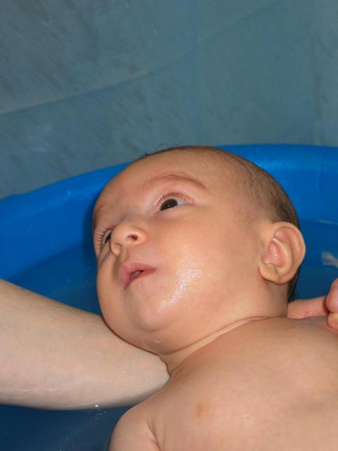 IMG_7795.jpg