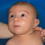 IMG_7796.jpg