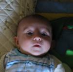 IMG_7802.jpg