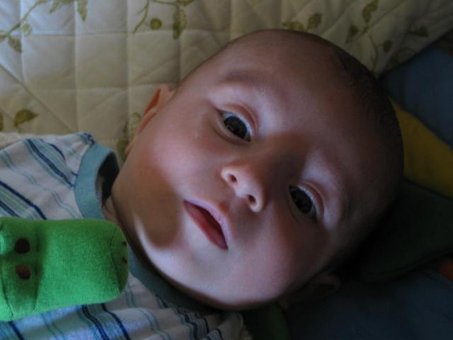 IMG_7803.jpg
