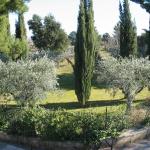 jardin.jpg