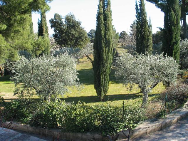 jardin.jpg