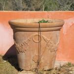 pot enterre cuite.jpg