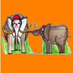 Eléphants