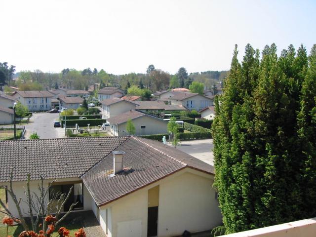 aas.jpg