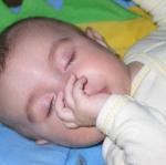 IMG_7849.jpg