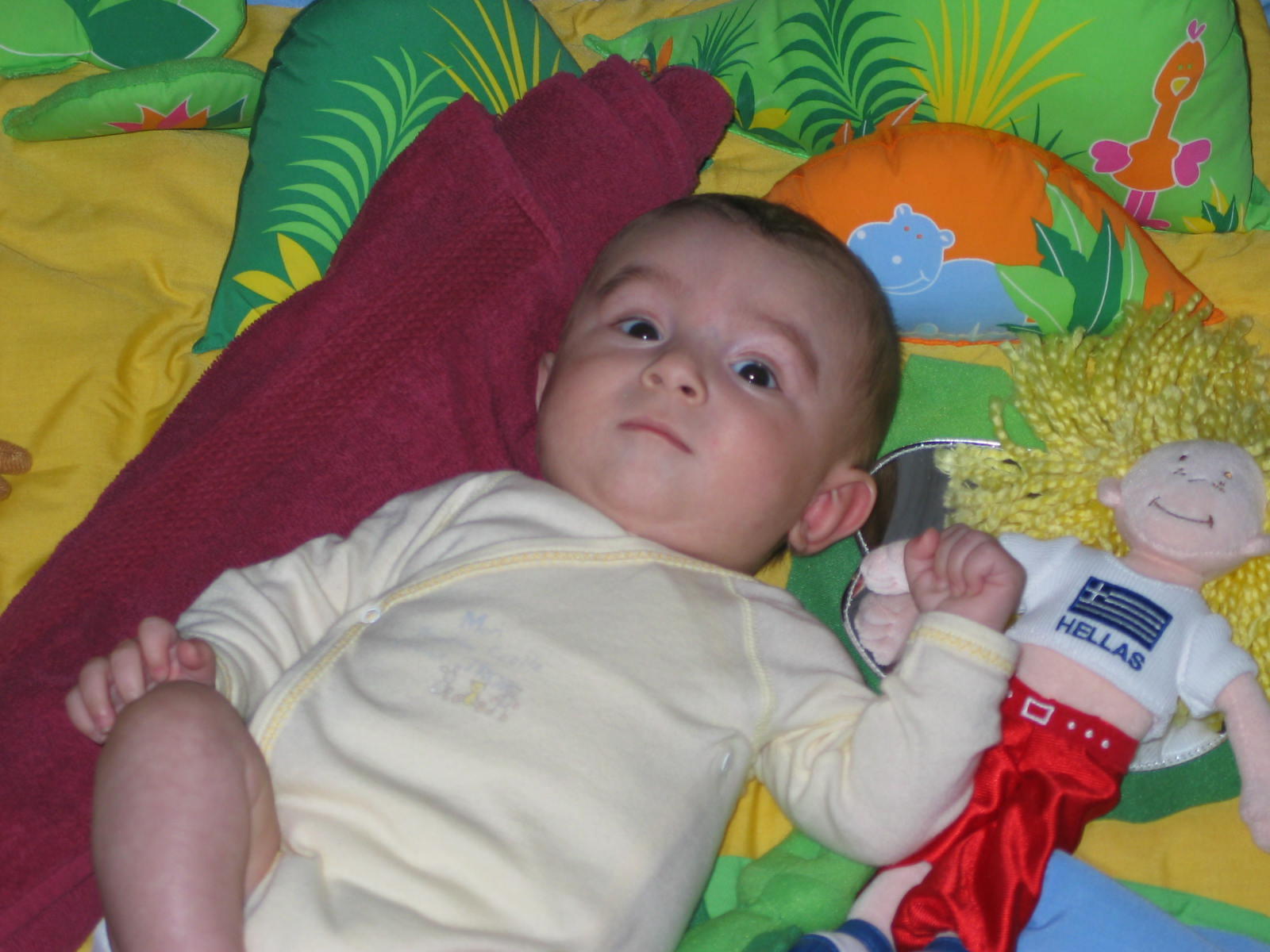 IMG_7857.jpg