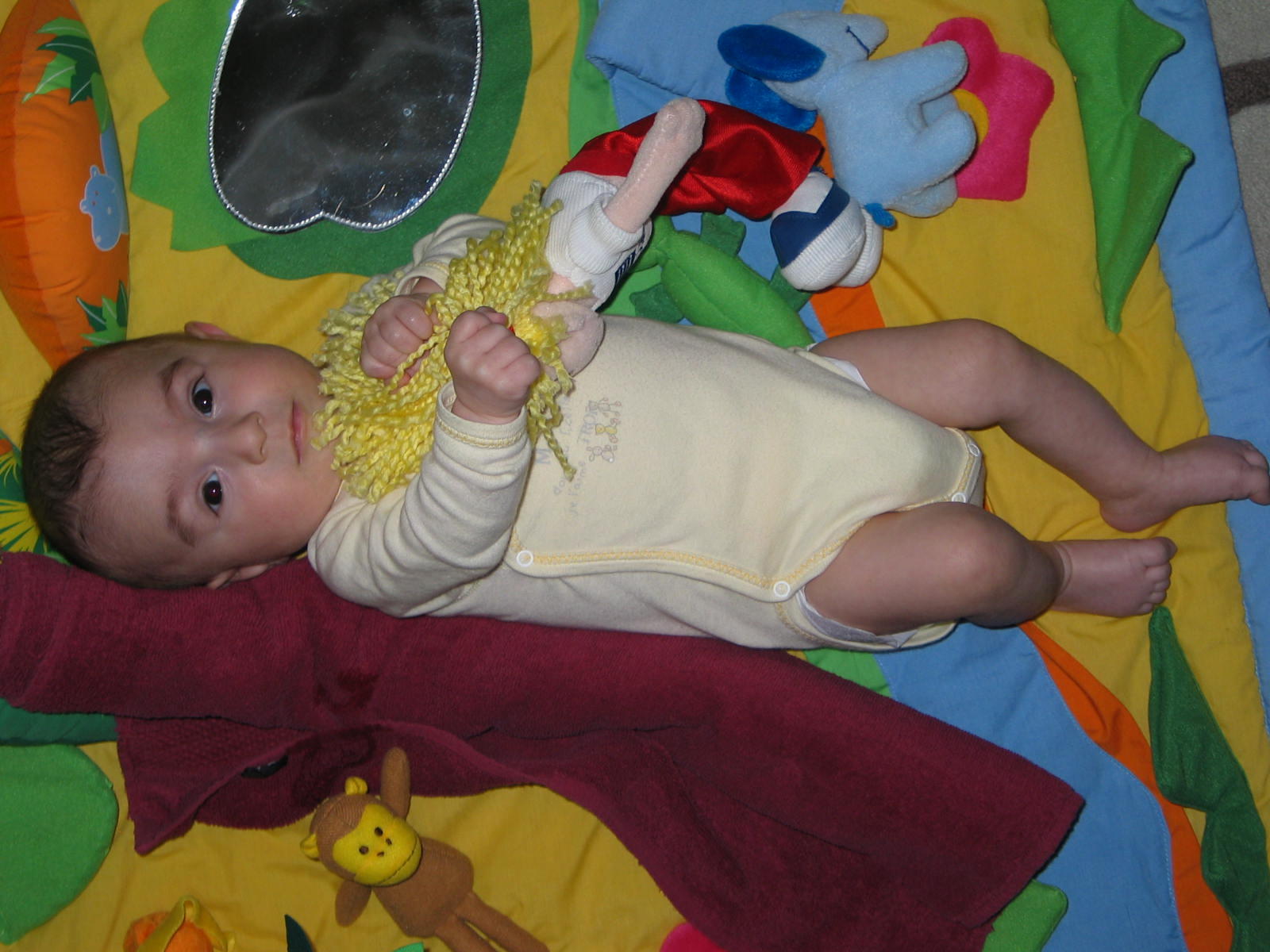 IMG_7865.jpg