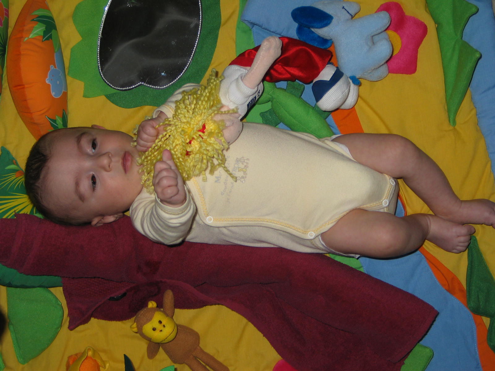 IMG_7867.jpg