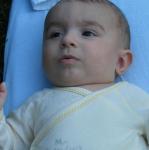 IMG_7901.jpg