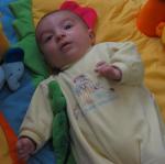 Clément et son crocodile