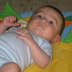 img_7984.jpg