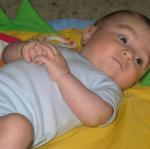 img_7988.jpg