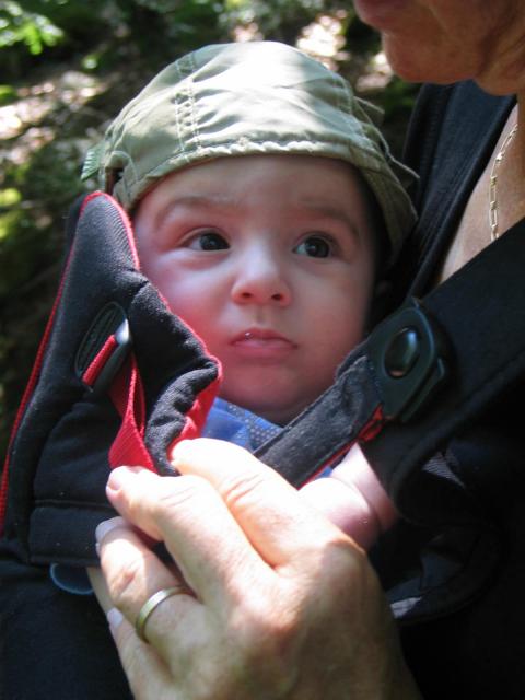 img_8115.jpg