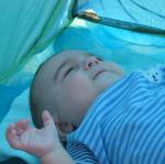 IMG_8373.jpg