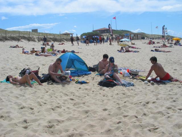 IMG_8379.jpg