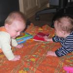 IMG_8427.JPG