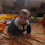 A quatre pattes