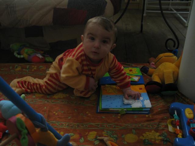 IMG_8513.jpg