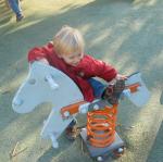IMG_8495.jpg