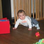 IMG_8532.jpg