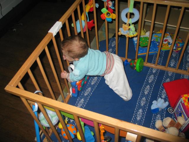 IMG_8675.jpg