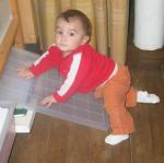 IMG_8724.jpg
