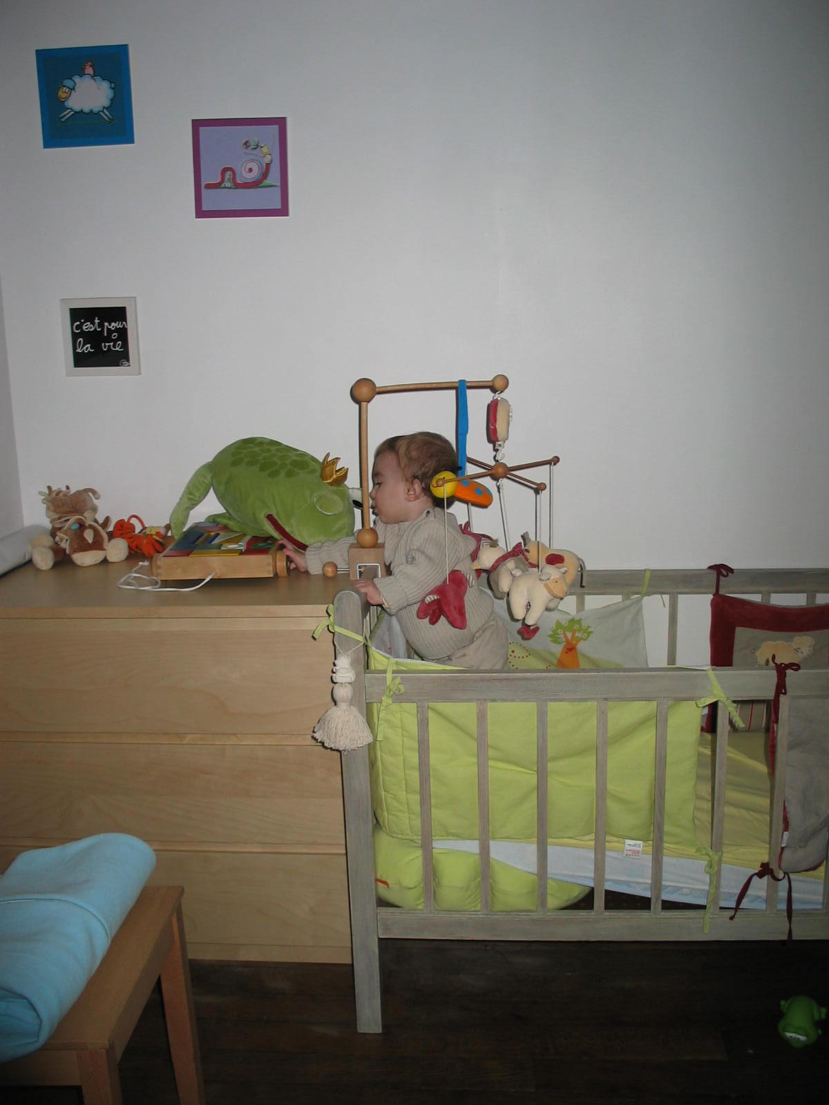 IMG_8974.JPG